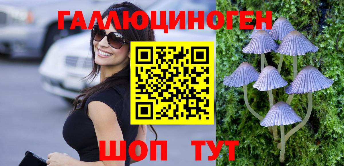 Псилоцибиновые грибы Cubensis  Вход с VPN  Псилоцибиновые грибы Psilocybe  Томск 